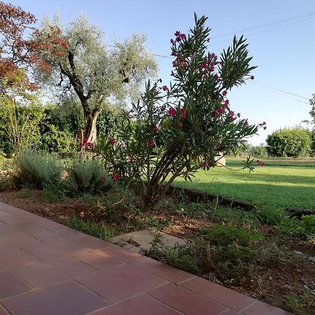Villa Caterina Country Apartment Bedizzole Екстер'єр фото